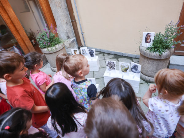 Proskočit galerii, foto: David Peltán